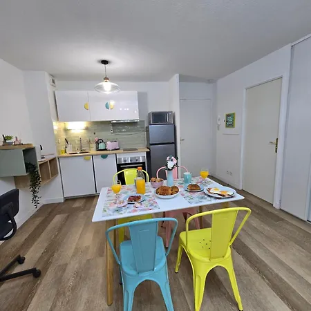 Apartment Marshmallow Proche Aeroport, Airbus Et Zenith